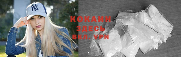 прущие грибы Снежинск