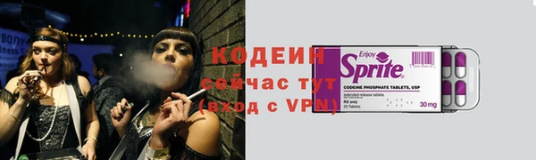 соль ск Зуевка
