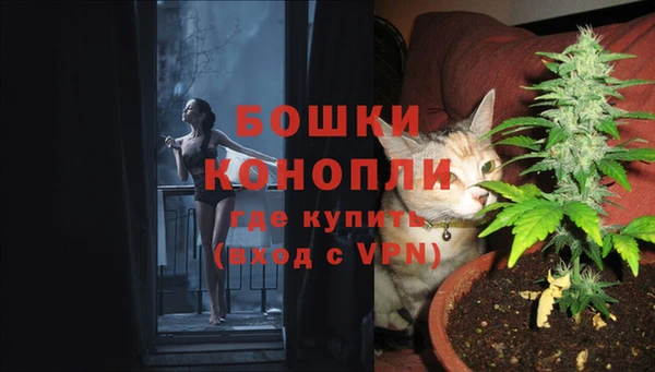 прущие грибы Снежинск