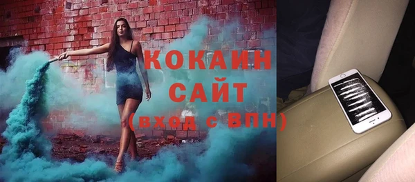 прущие грибы Снежинск